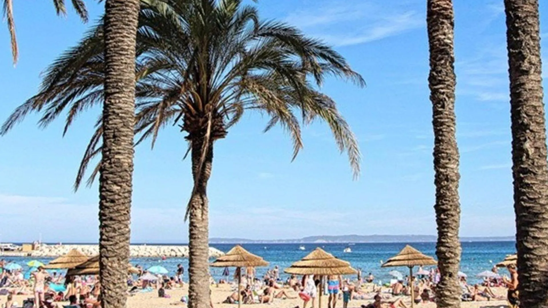 شقة Charmant T2 Avec Terrasse Et Parking Au Calme, Le Lavandou - Fr-1-251-766